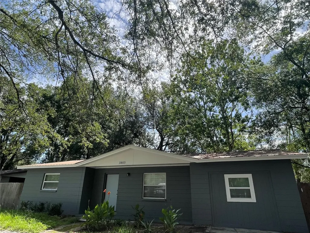 3803 NE 13th Street Gainesville FL 32609