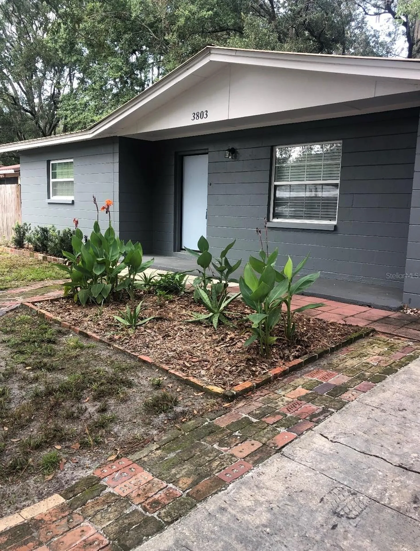 3803 NE 13th Street Gainesville FL 32609