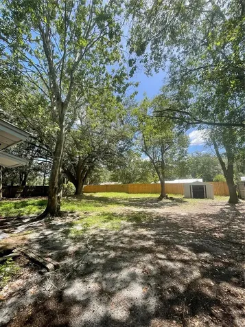 3803 NE 13th Street Gainesville FL 32609