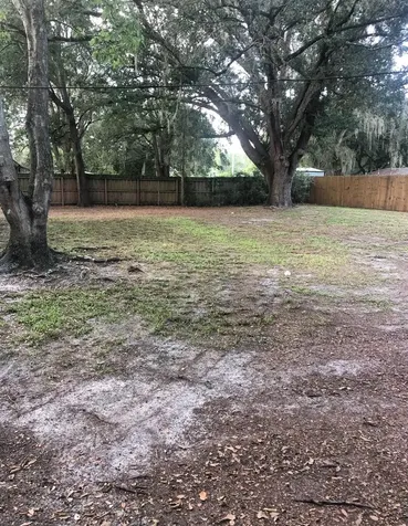 3803 NE 13th Street Gainesville FL 32609