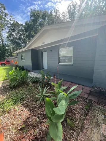 3803 NE 13th Street Gainesville FL 32609