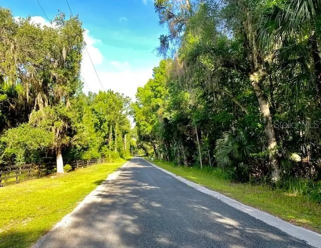 8555 NW 210th Street Micanopy FL 32667