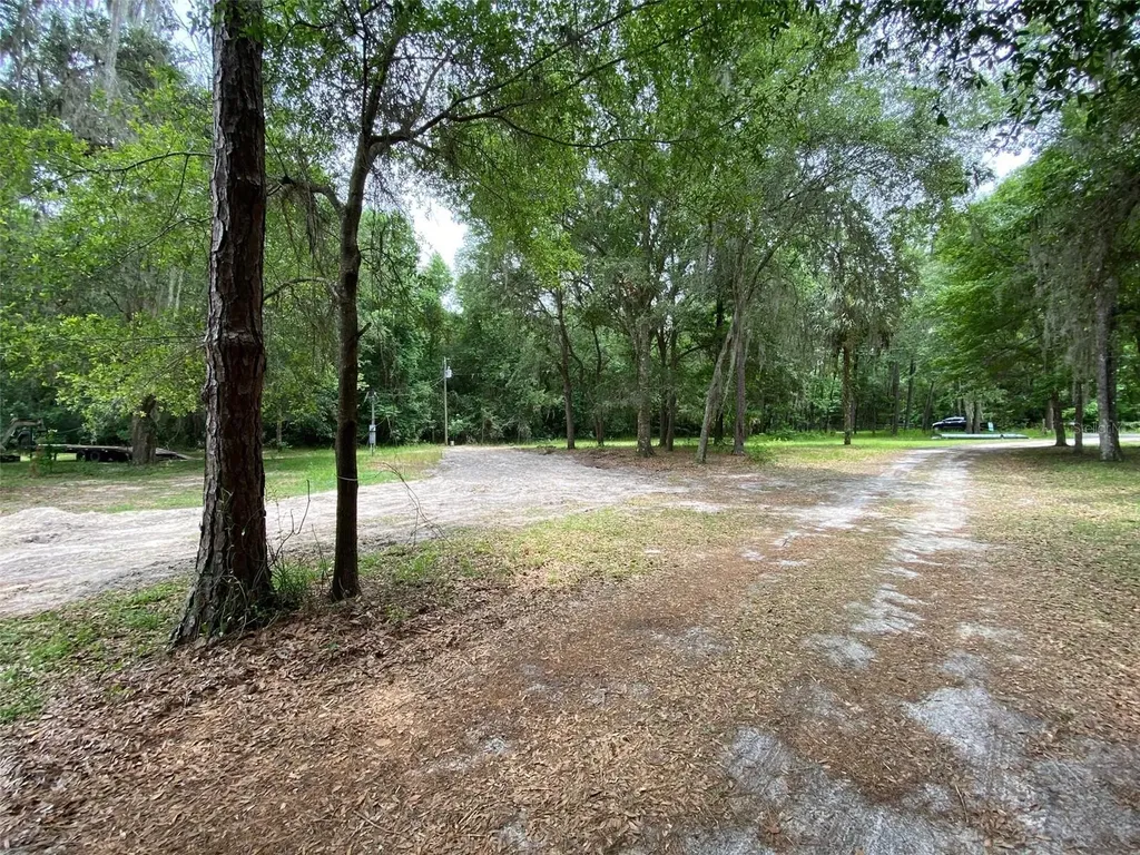 8555 NW 210th Street Micanopy FL 32667