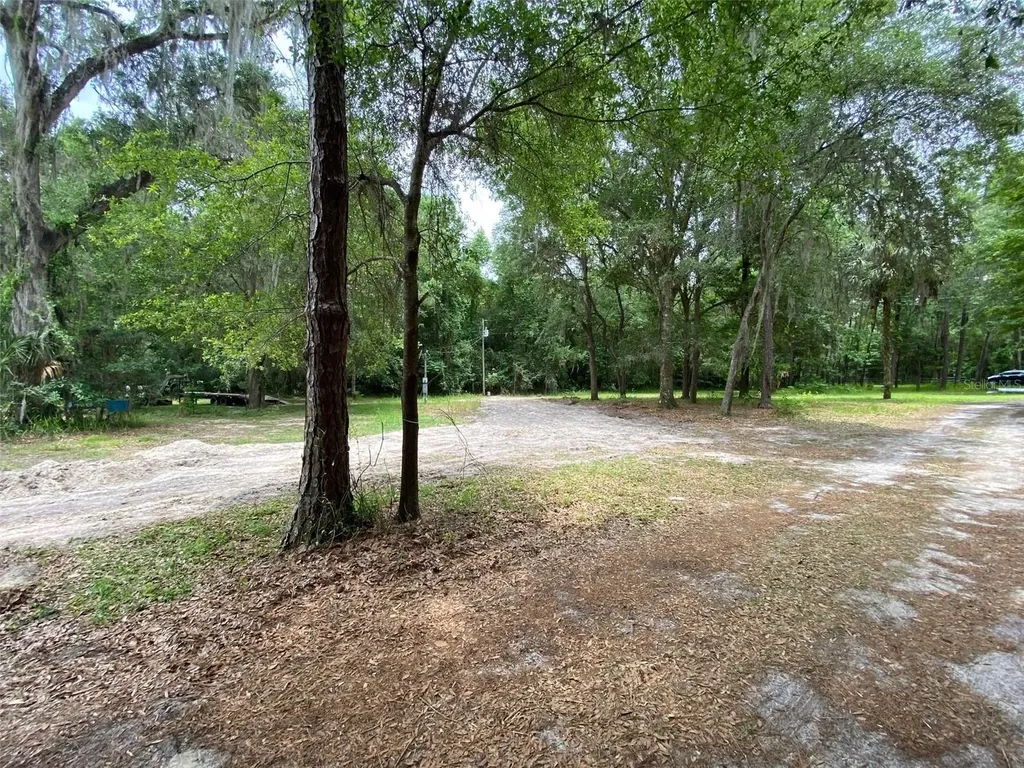 8555 NW 210th Street Micanopy FL 32667