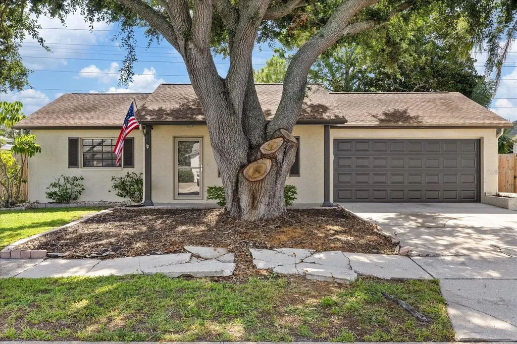 1310 Mandarin Drive Holiday FL 34691