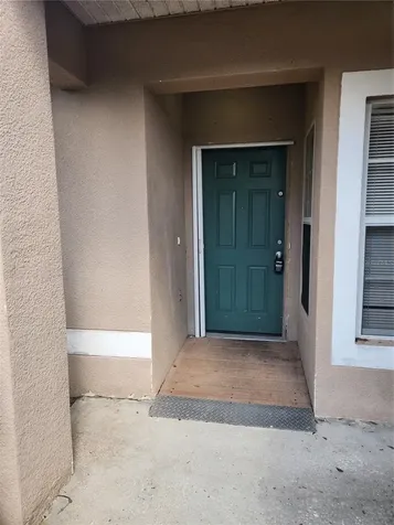 13407 Copper Head Drive Riverview FL 33569