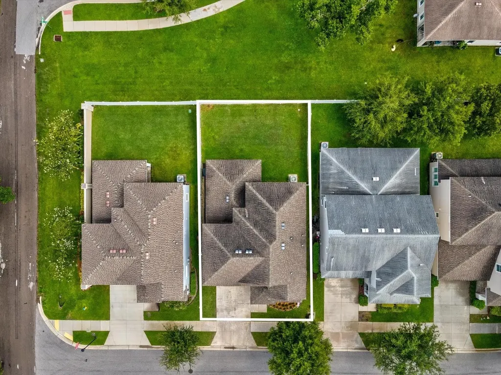 7117 Park Tree Drive Tampa FL 33625