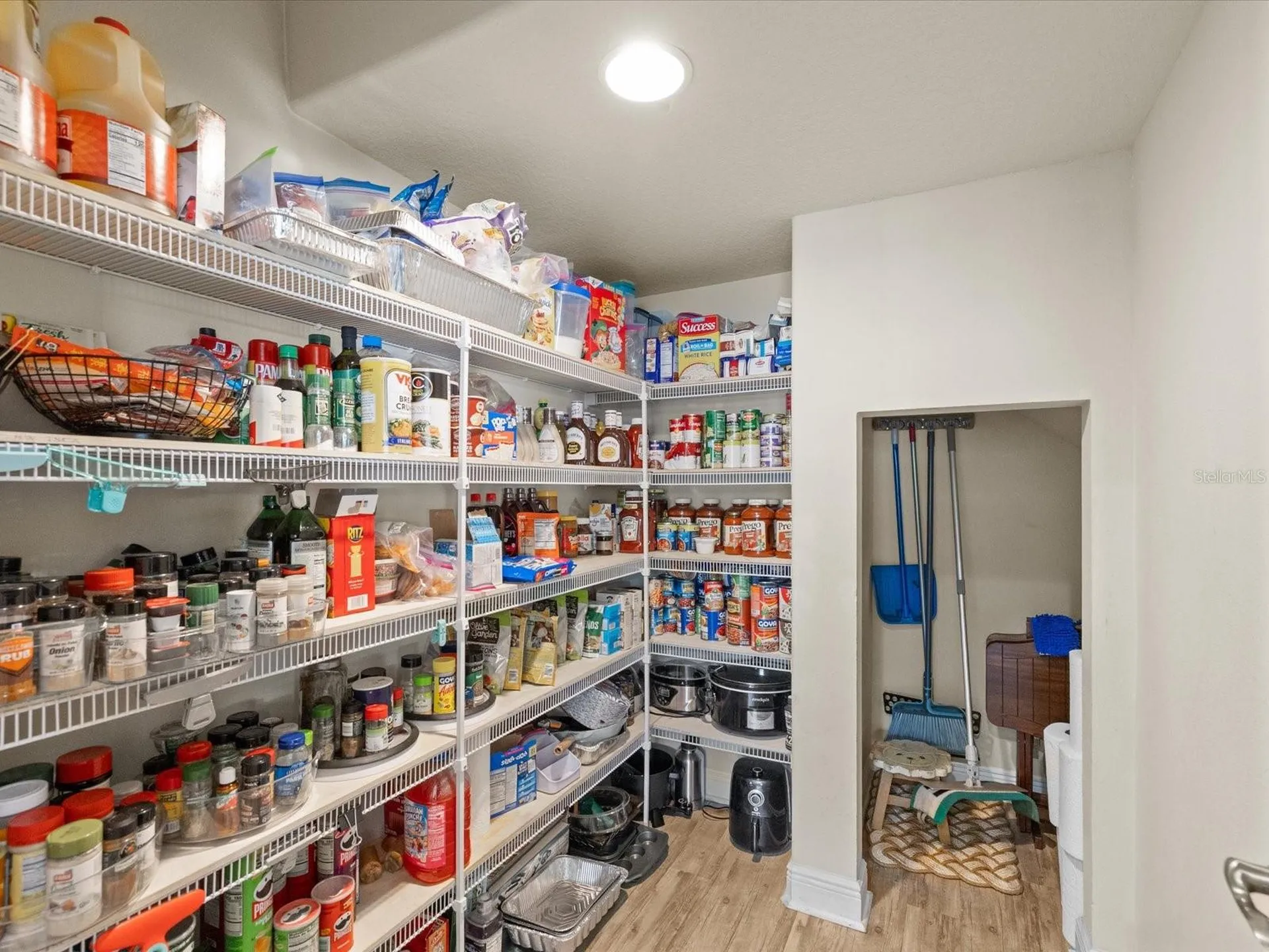 7117 Park Tree Drive Tampa FL 33625