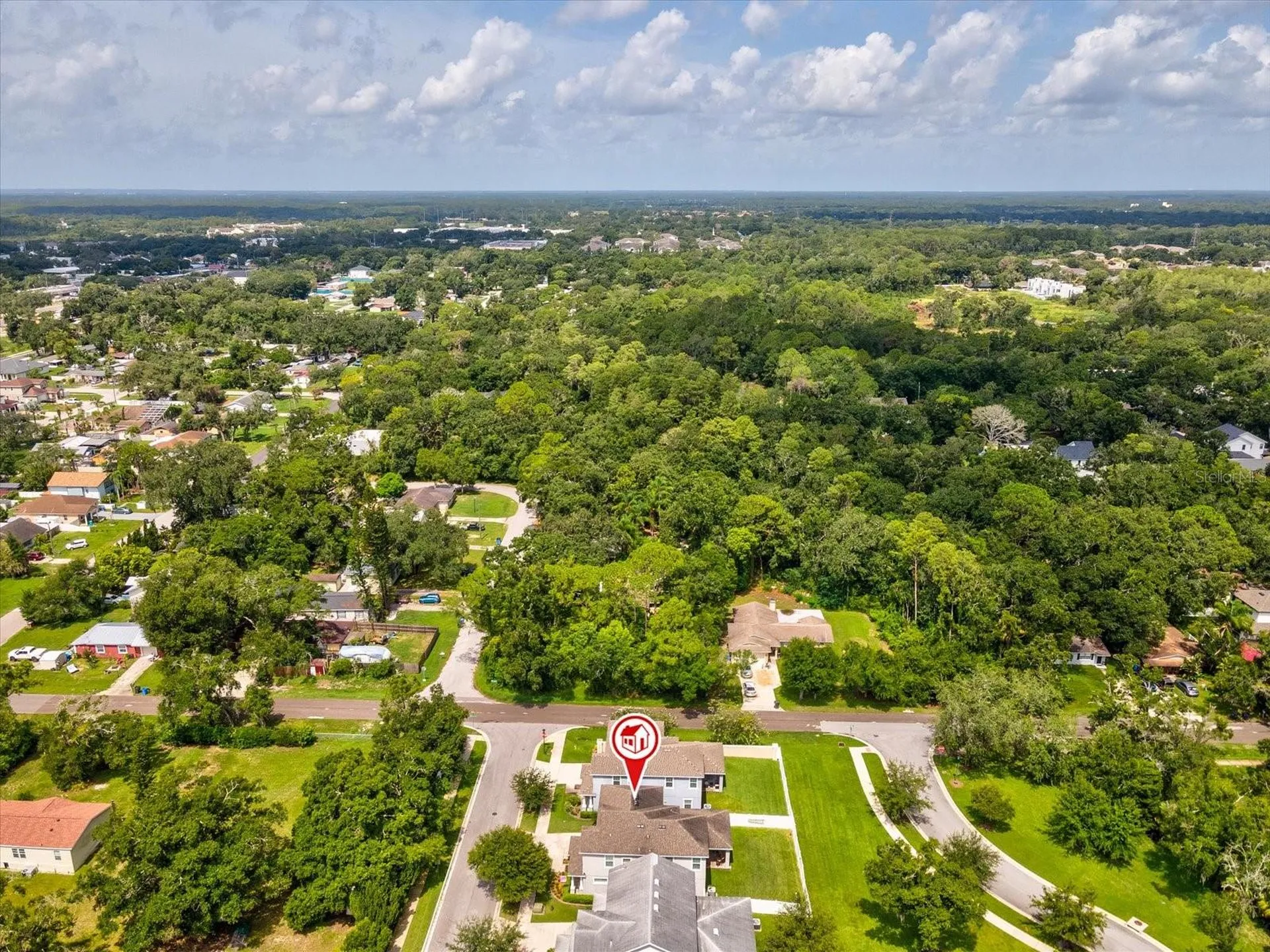 7117 Park Tree Drive Tampa FL 33625