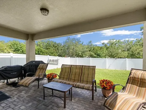 7117 Park Tree Drive Tampa FL 33625