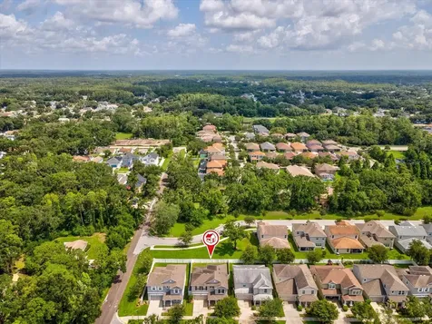 7117 Park Tree Drive Tampa FL 33625