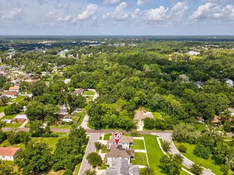 7117 Park Tree Drive Tampa FL 33625