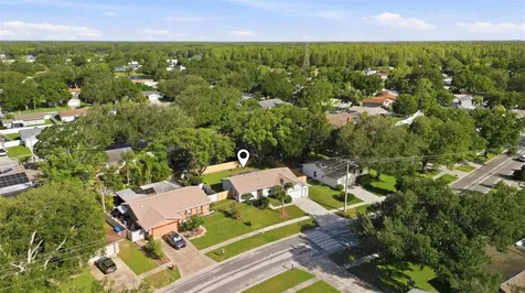 15906 Crying Wind Drive Tampa FL 33624