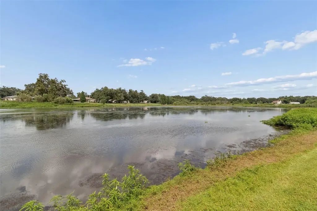 653 Timber Pond Drive Brandon FL 33510