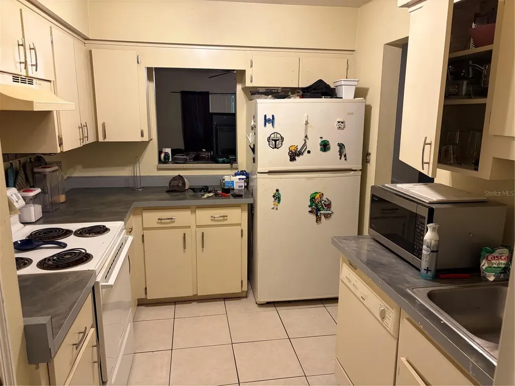 821 Sleepy Harbour Drive Ocoee FL 34761