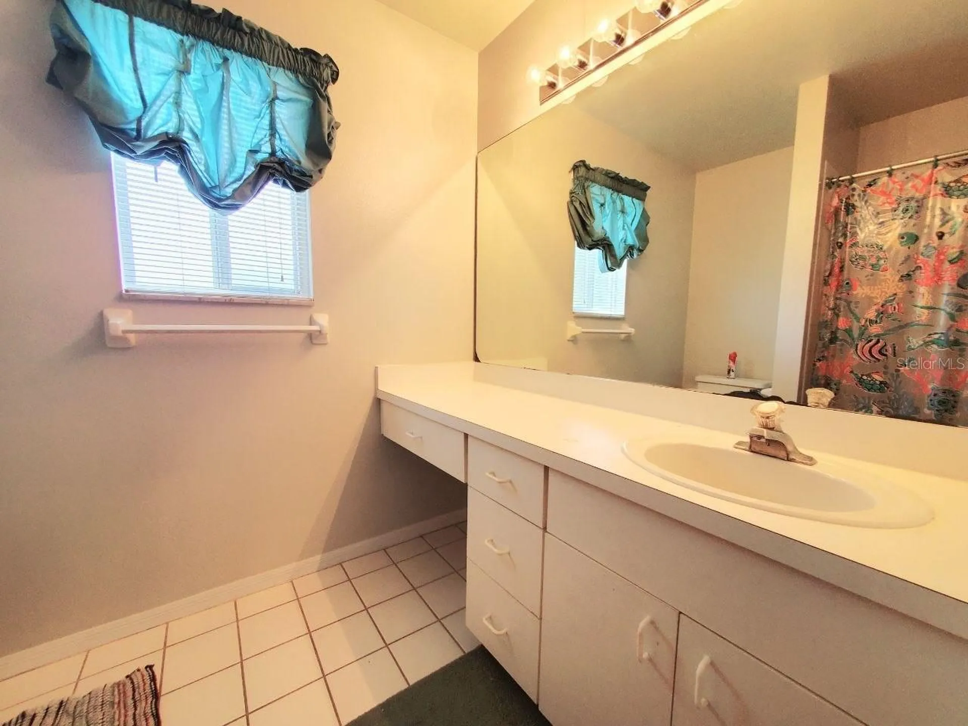 2331 Rothenfeld Court Land O Lakes FL 34639