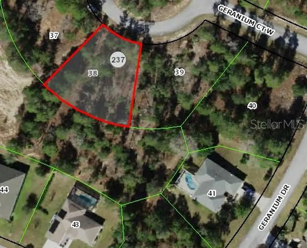 6 Geranium Court W Homosassa FL 34446