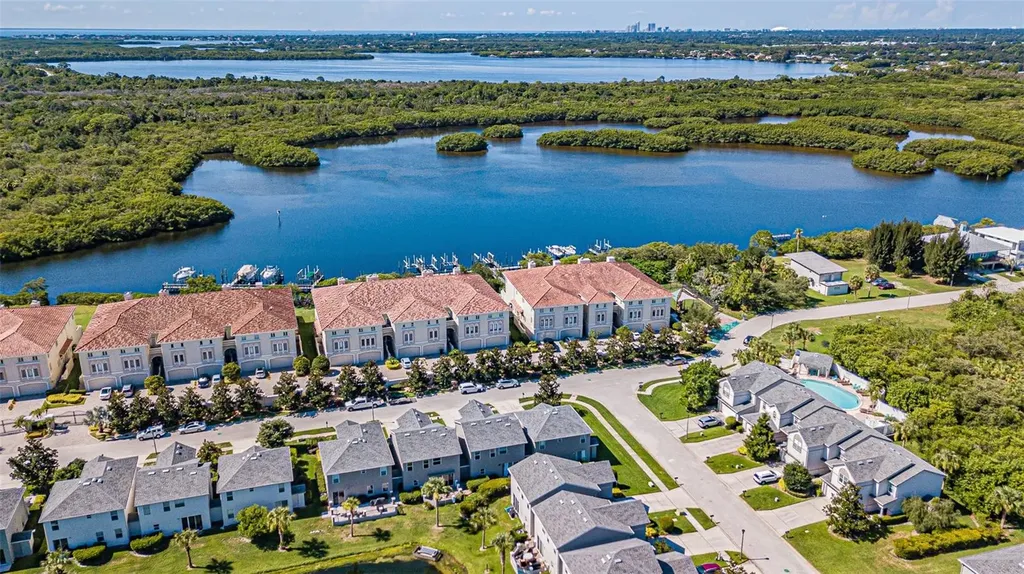1031 Paseo Del Rio NE St Petersburg FL 33702