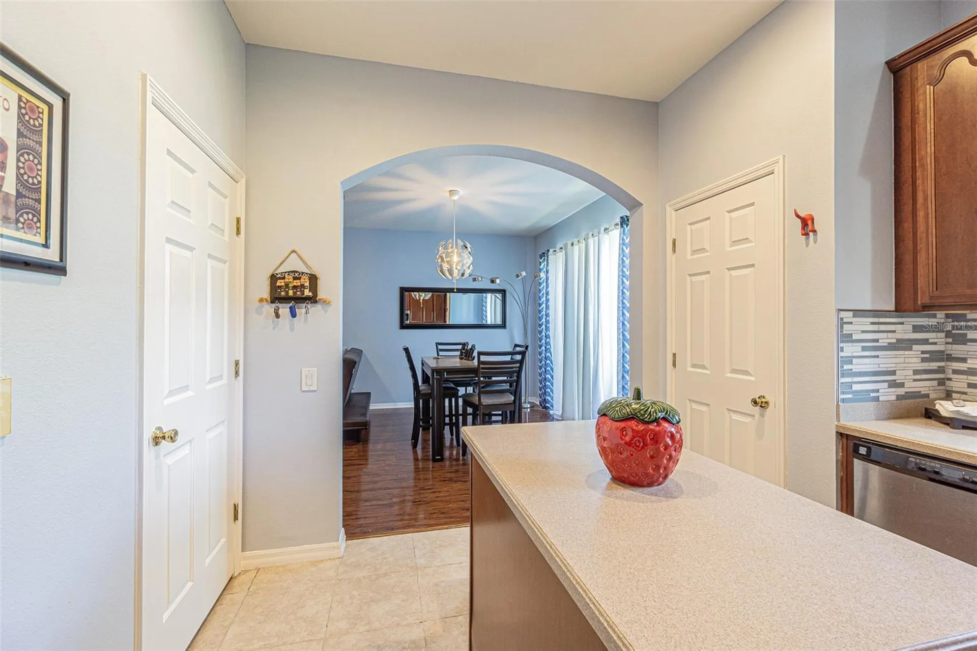 1031 Paseo Del Rio NE St Petersburg FL 33702