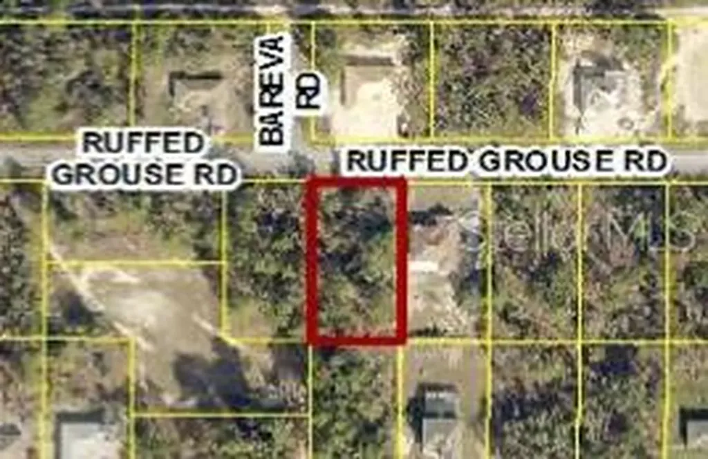 13364 Ruffed Grouse Road Weeki Wachee FL 34614