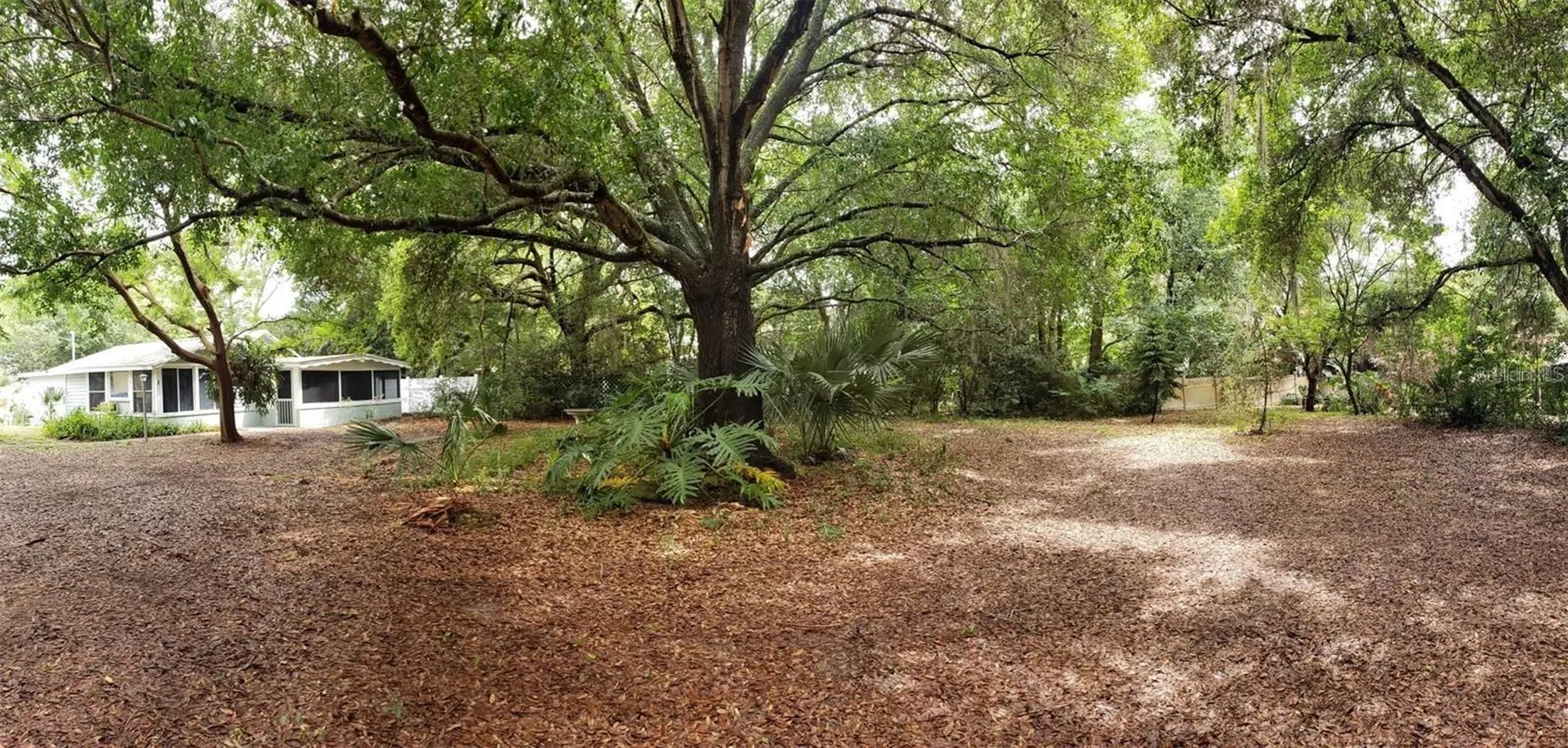 409 W Pearl Street Clermont FL 34715