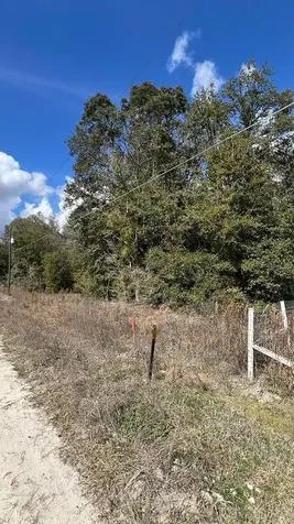 SW 111 Lane Dunnellon FL 34432