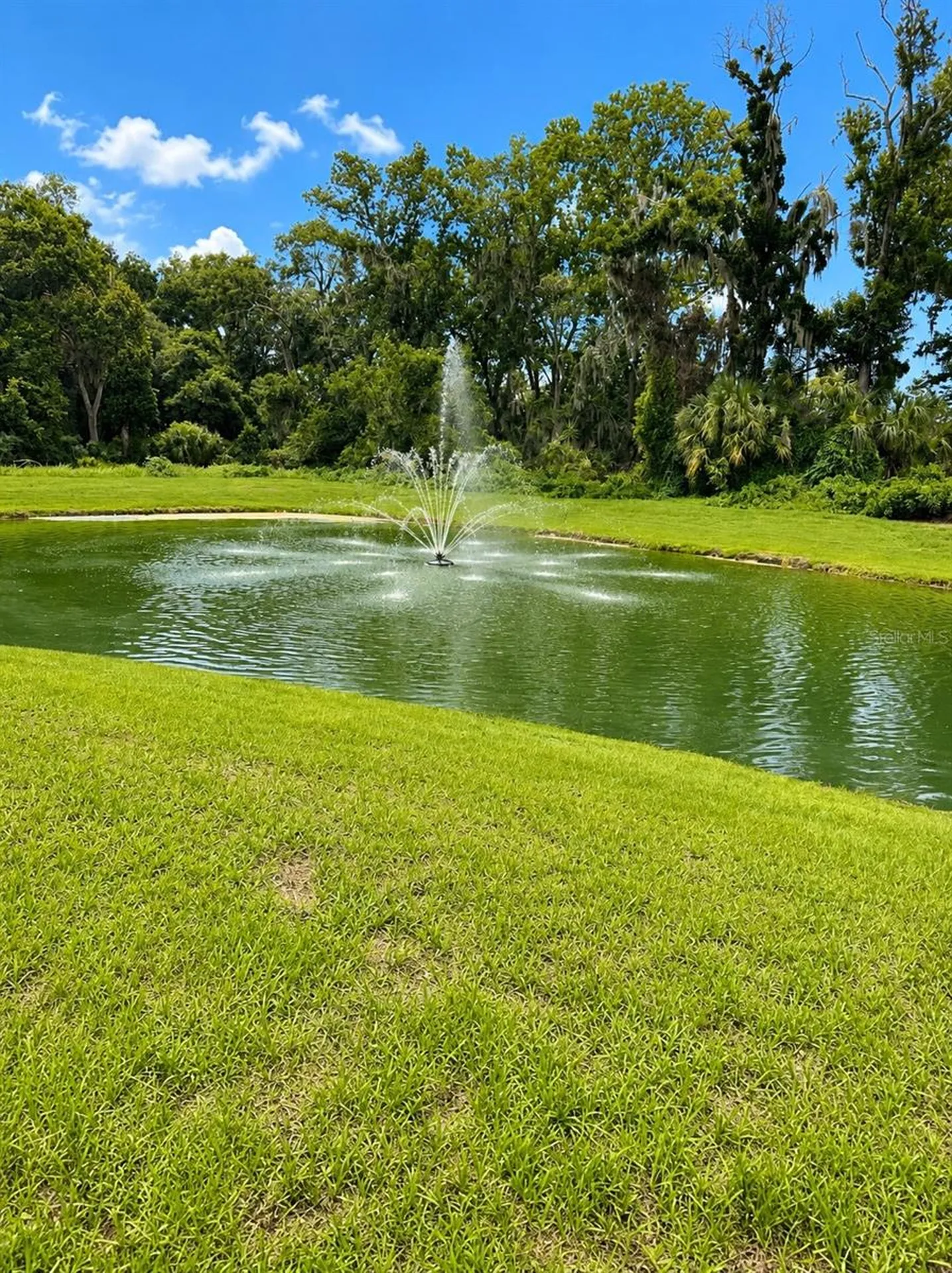 809 Lucent Sands Court Brandon FL 33511