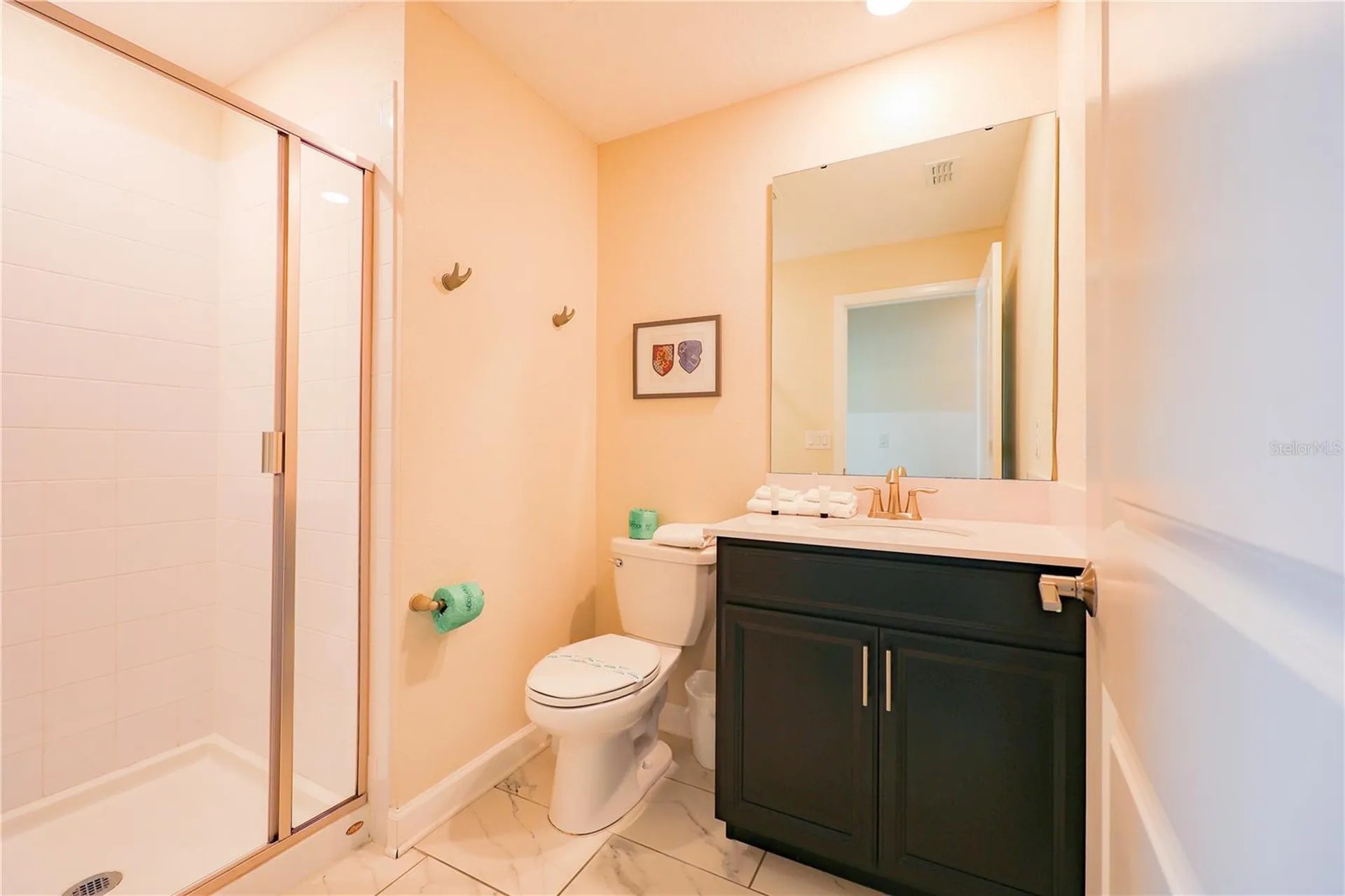 1132 Challenge Drive Davenport FL 33896