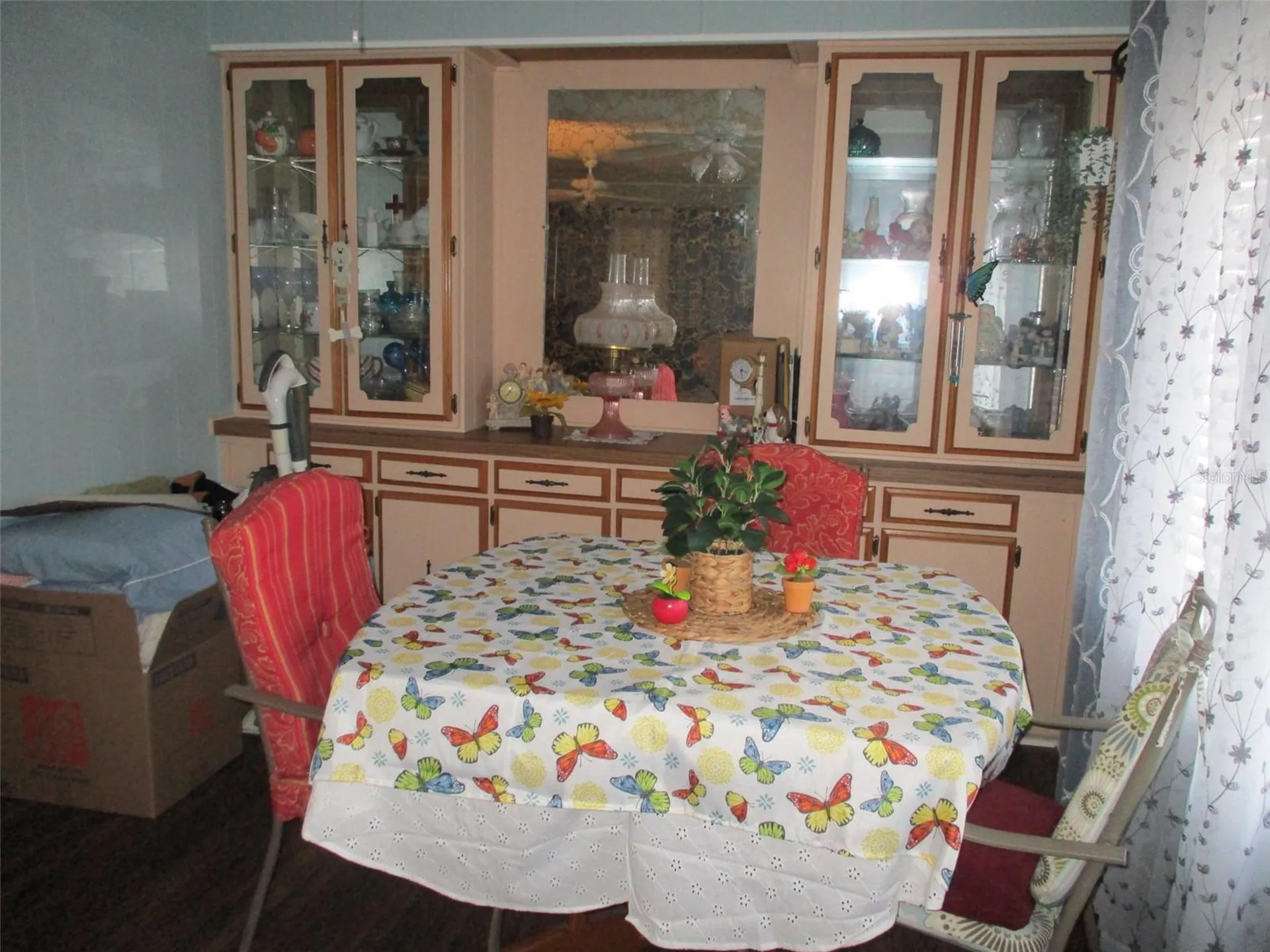 38536 Cone Drive Zephyrhills FL 33540