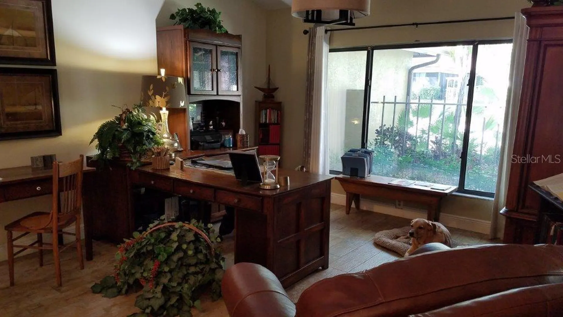 392 Lakeview Terrace Palm Harbor FL 34683