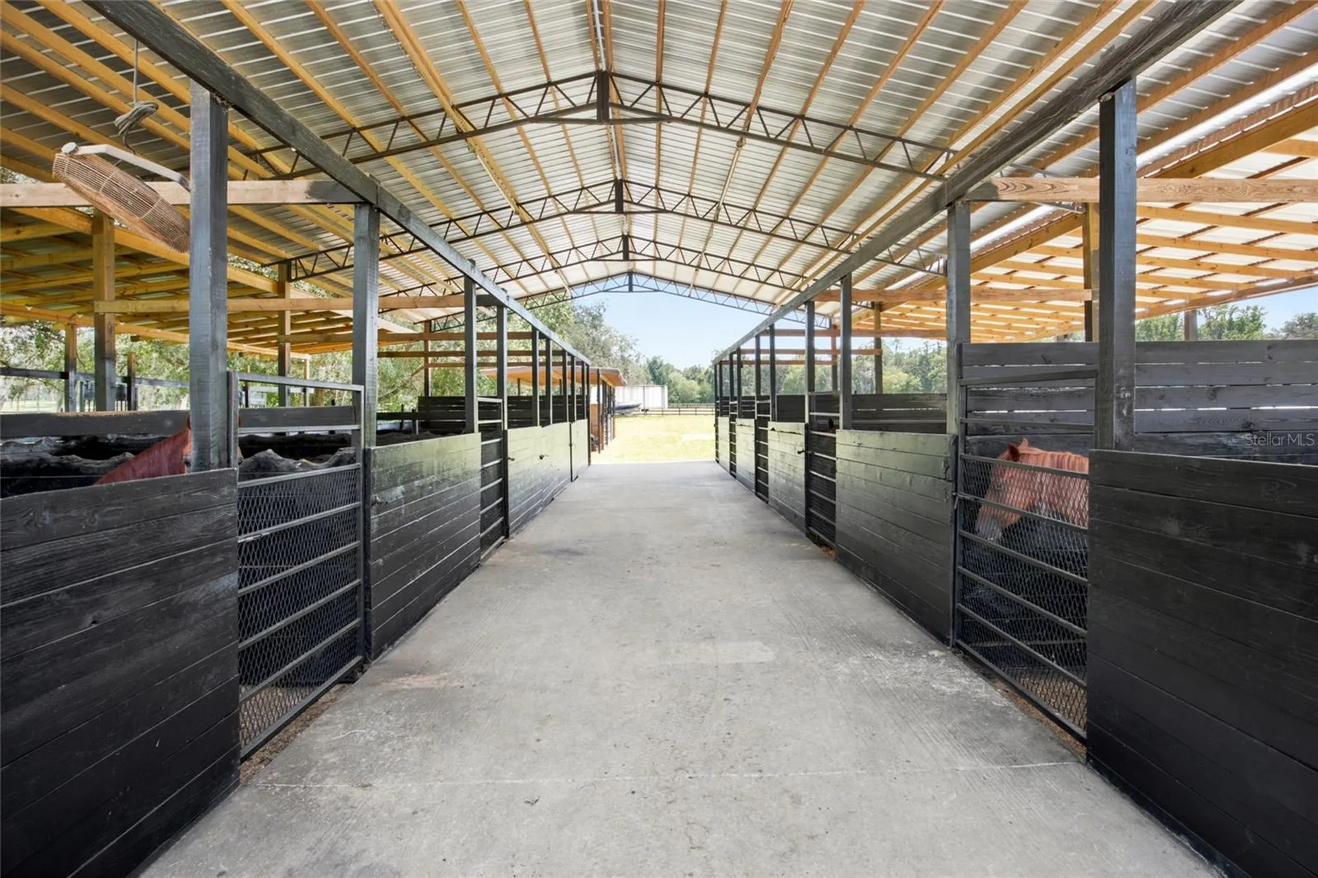 3875 SE 118th Lane Belleview FL 34420