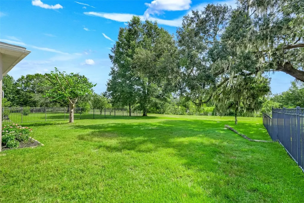 33519 Terragona Drive Sorrento FL 32776