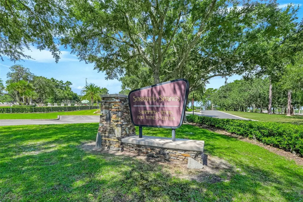 33519 Terragona Drive Sorrento FL 32776