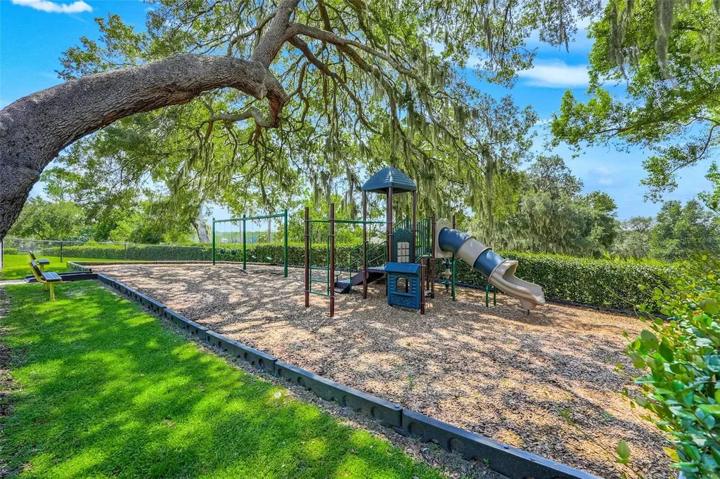 33519 Terragona Drive Sorrento FL 32776