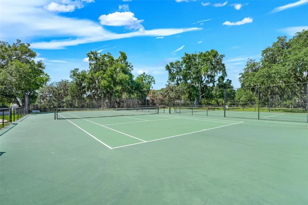 33519 Terragona Drive Sorrento FL 32776