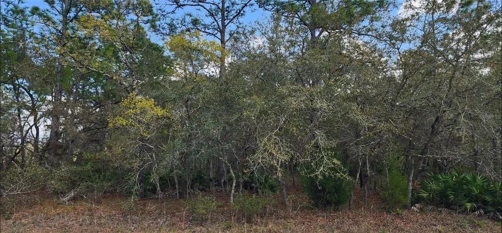 18106 Parakeet Road Brooksville FL 34614