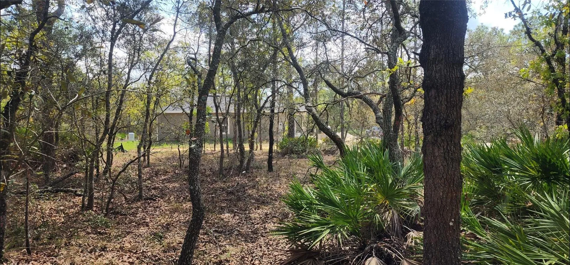 18106 Parakeet Road Brooksville FL 34614