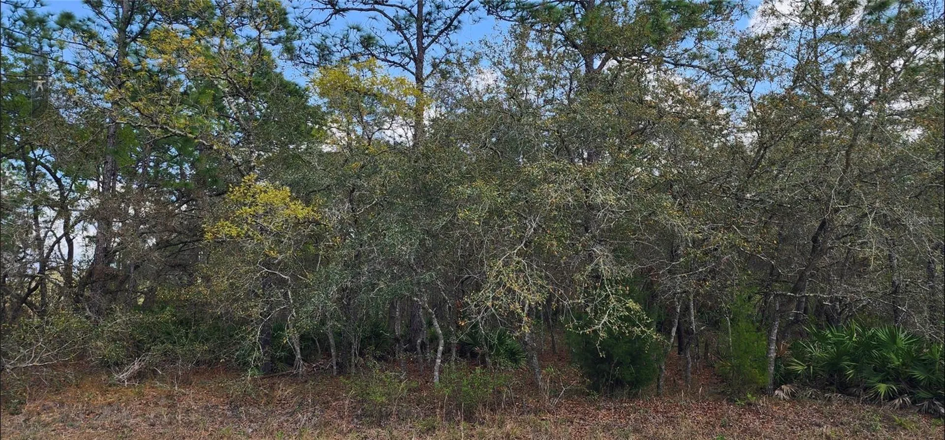 18106 Parakeet Road Brooksville FL 34614