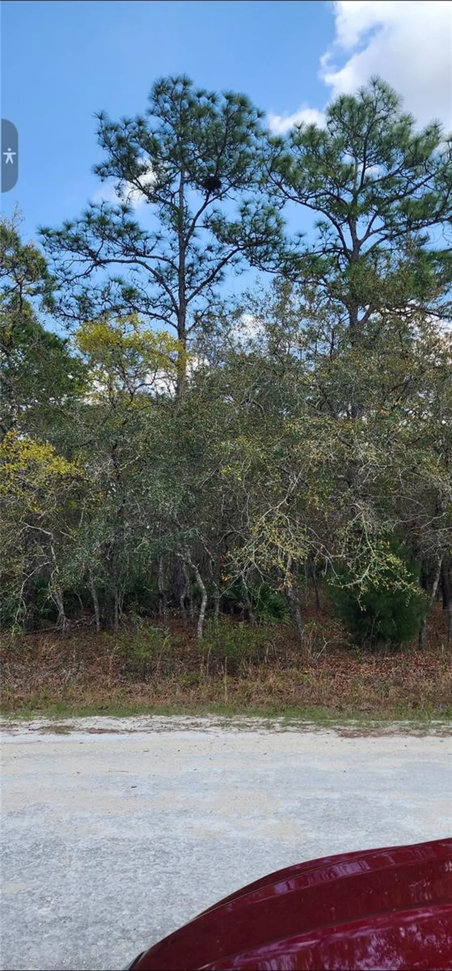 18106 Parakeet Road Brooksville FL 34614