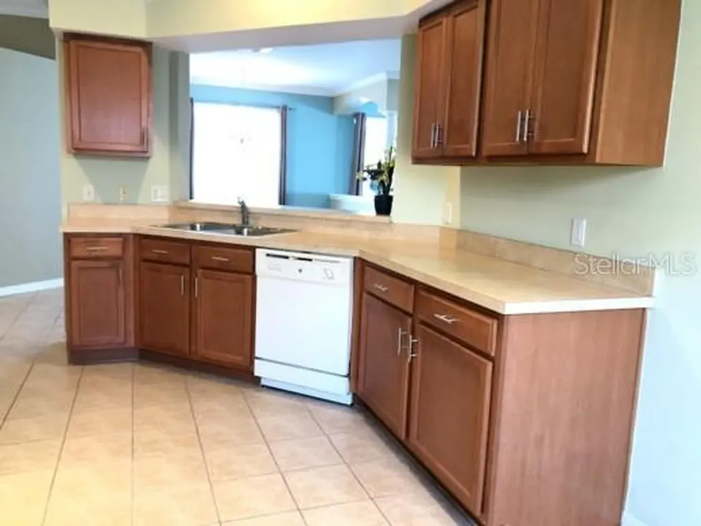 2520 Peekskill Road Valrico FL 33594