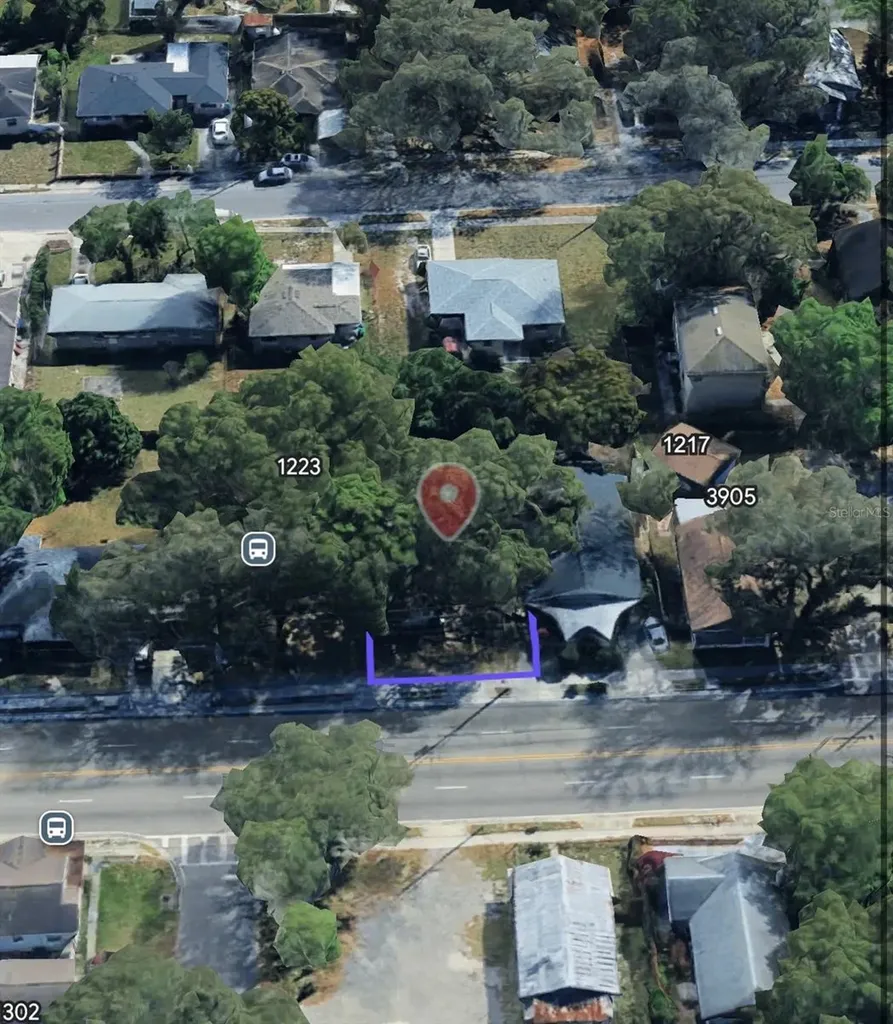 1221 E Dr Martin Luther King Jr Boulevard Tampa FL 33603