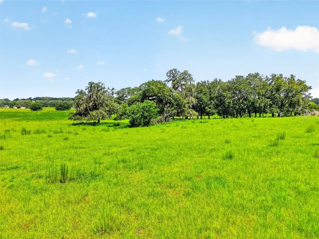 Tbd Trilby Cemetery Road Dade City FL 33523