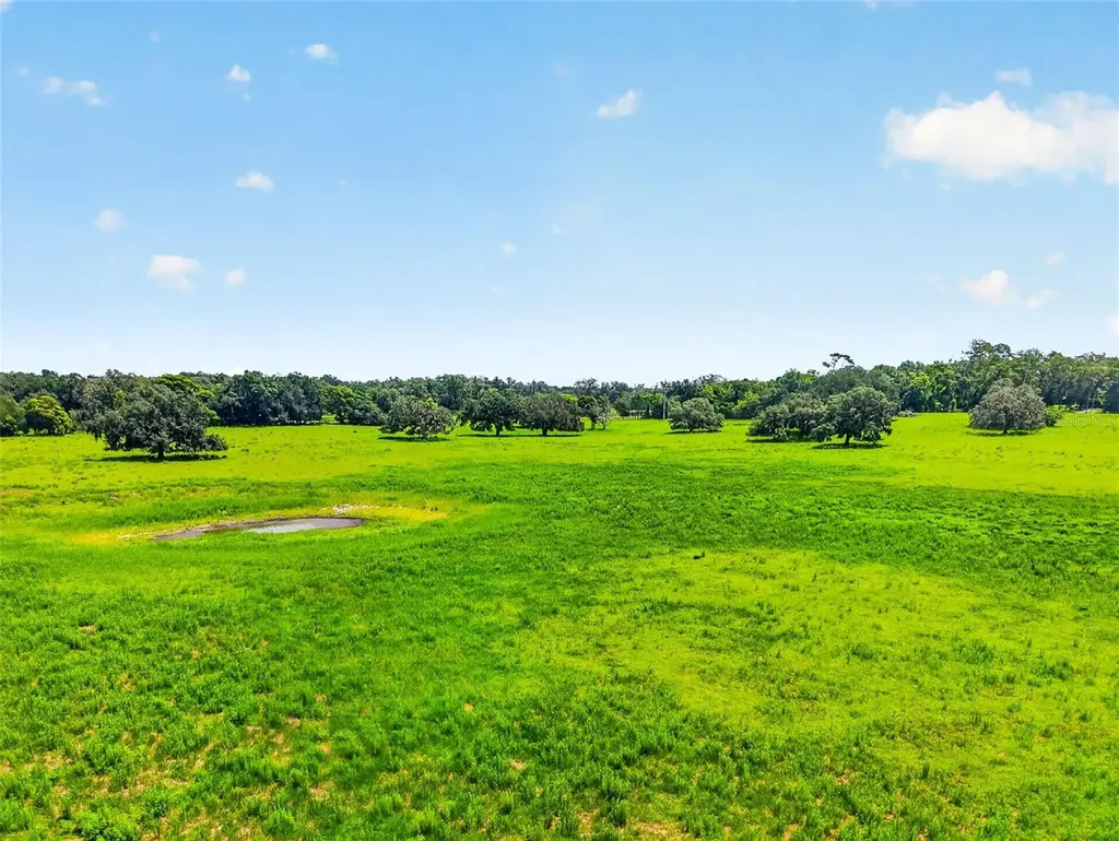 Tbd Trilby Cemetery Road Dade City FL 33523