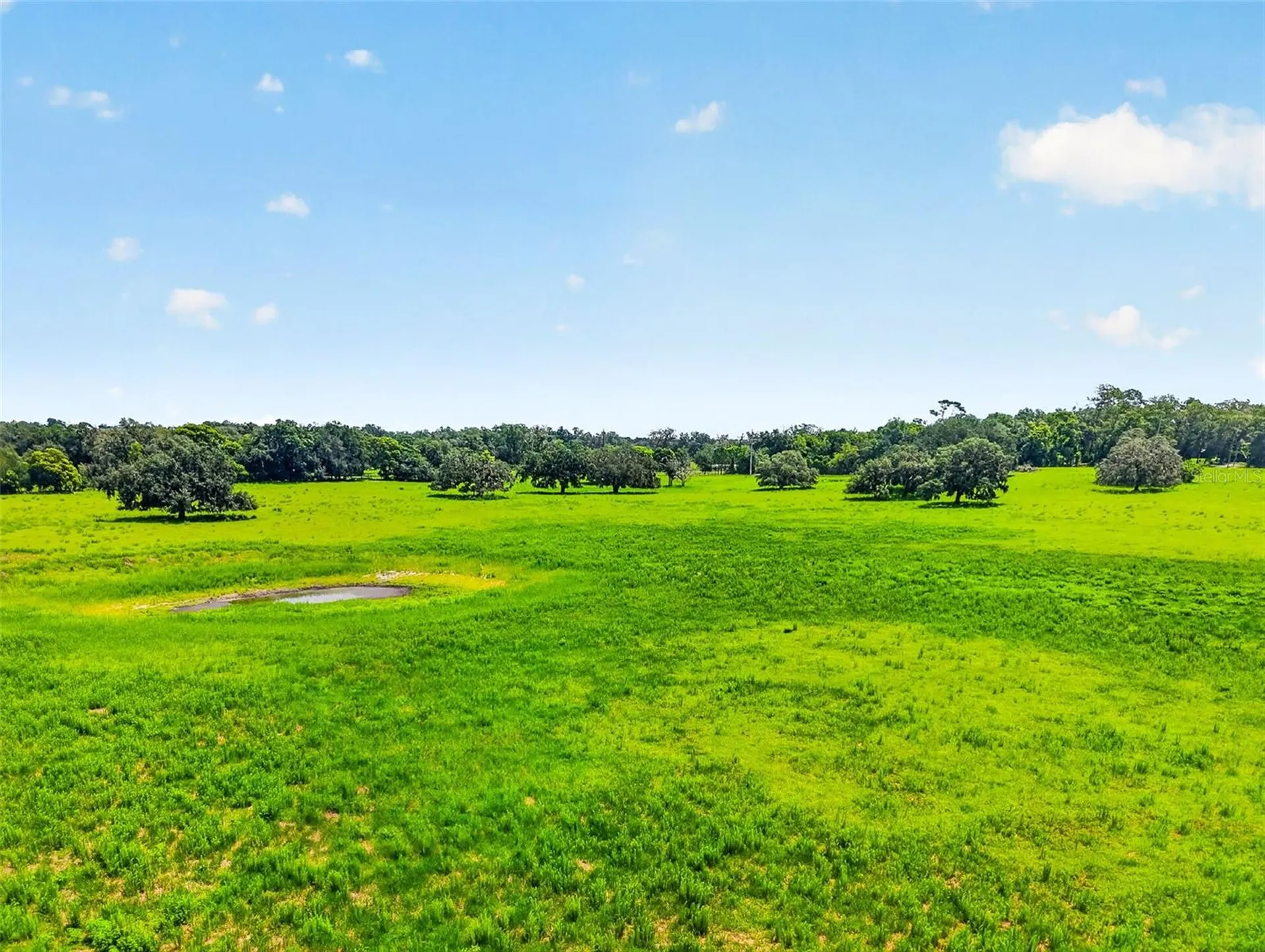Tbd Trilby Cemetery Road Dade City FL 33523