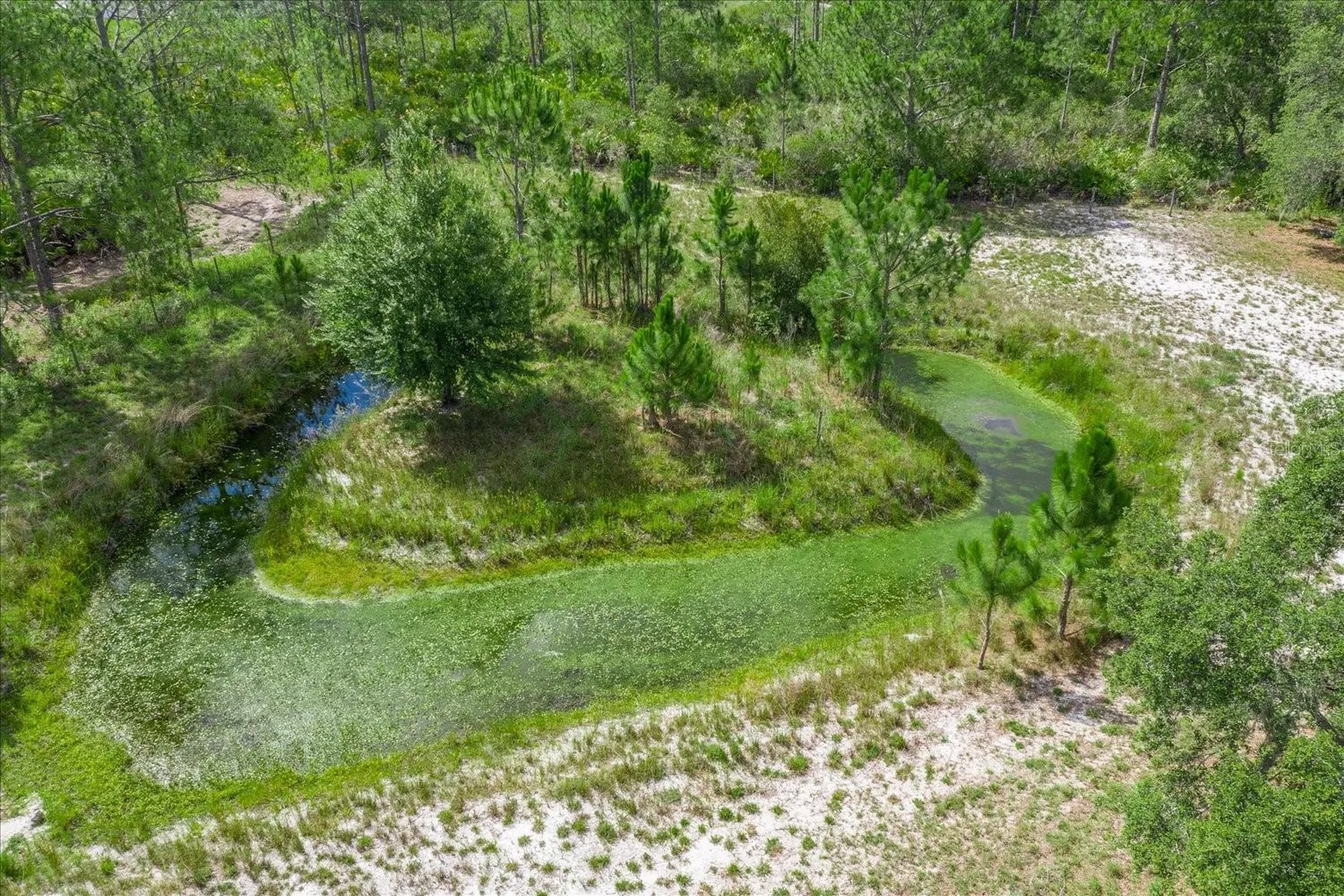1273 Scrub Jay Trail Frostproof FL 33843