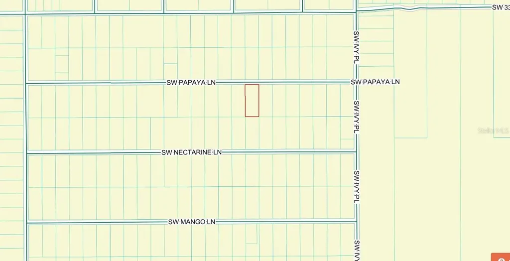 SW Papaya Lane Dunnellon FL 34431