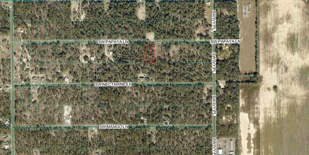 SW Papaya Lane Dunnellon FL 34431