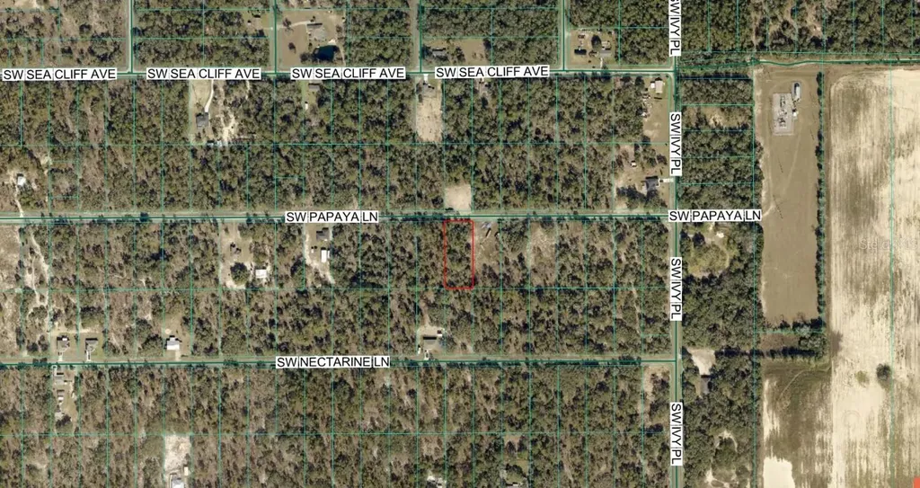 SW Papaya Lane Dunnellon FL 34431