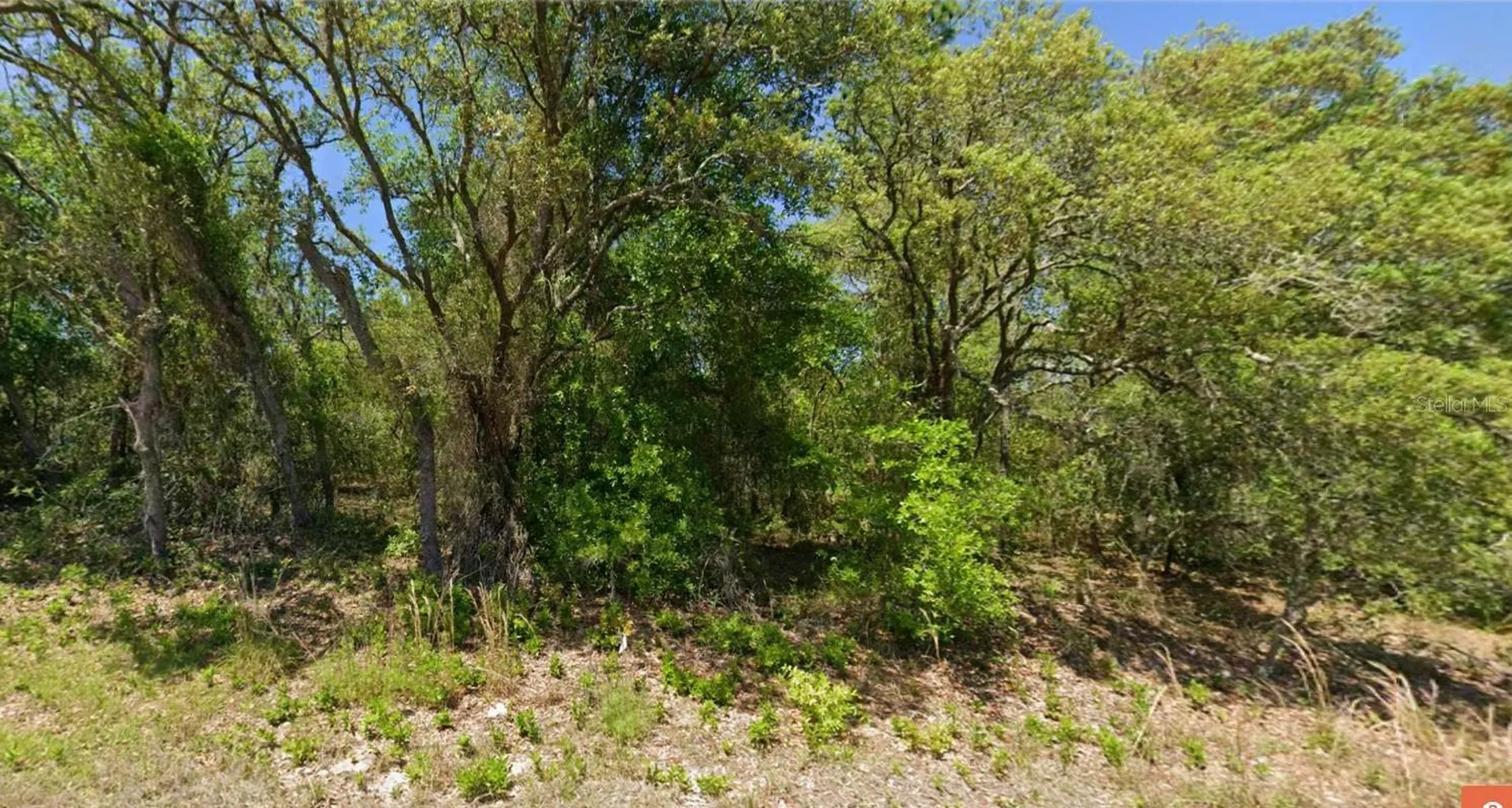 SW Papaya Lane Dunnellon FL 34431
