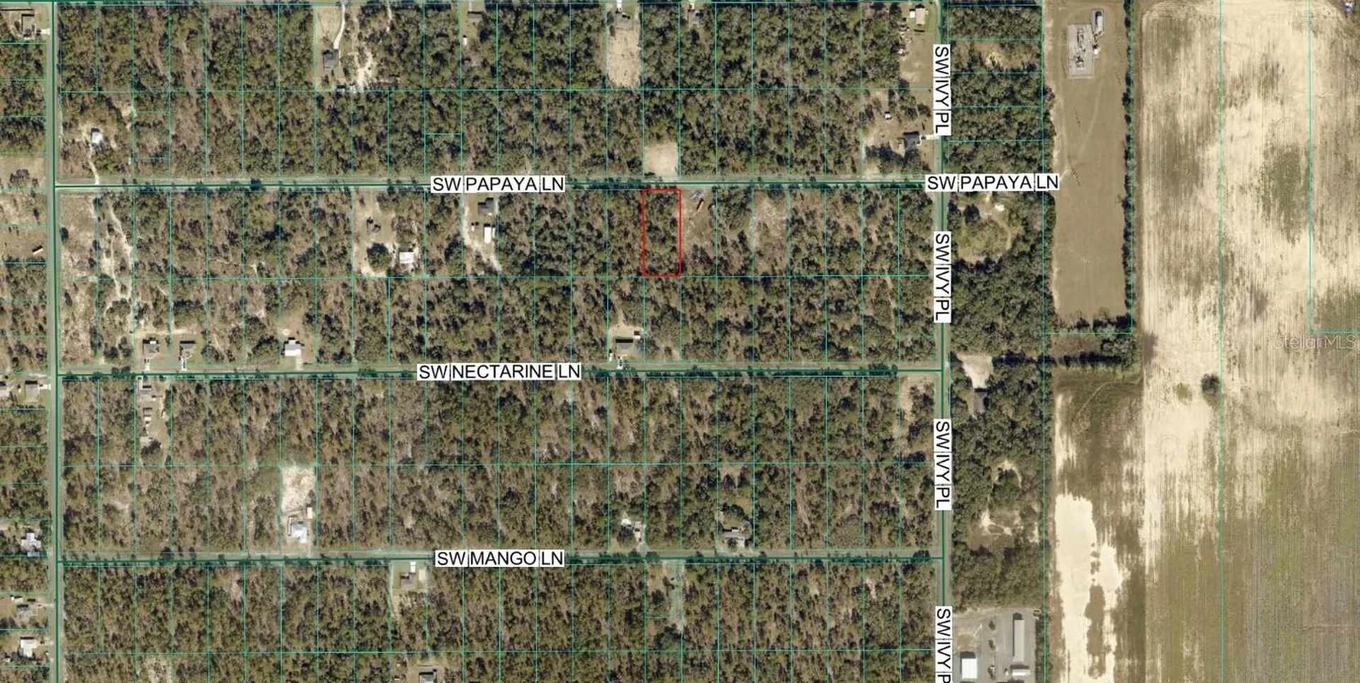 SW Papaya Lane Dunnellon FL 34431